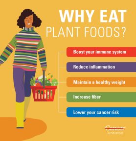 The Benefits of Plant-Based Diets